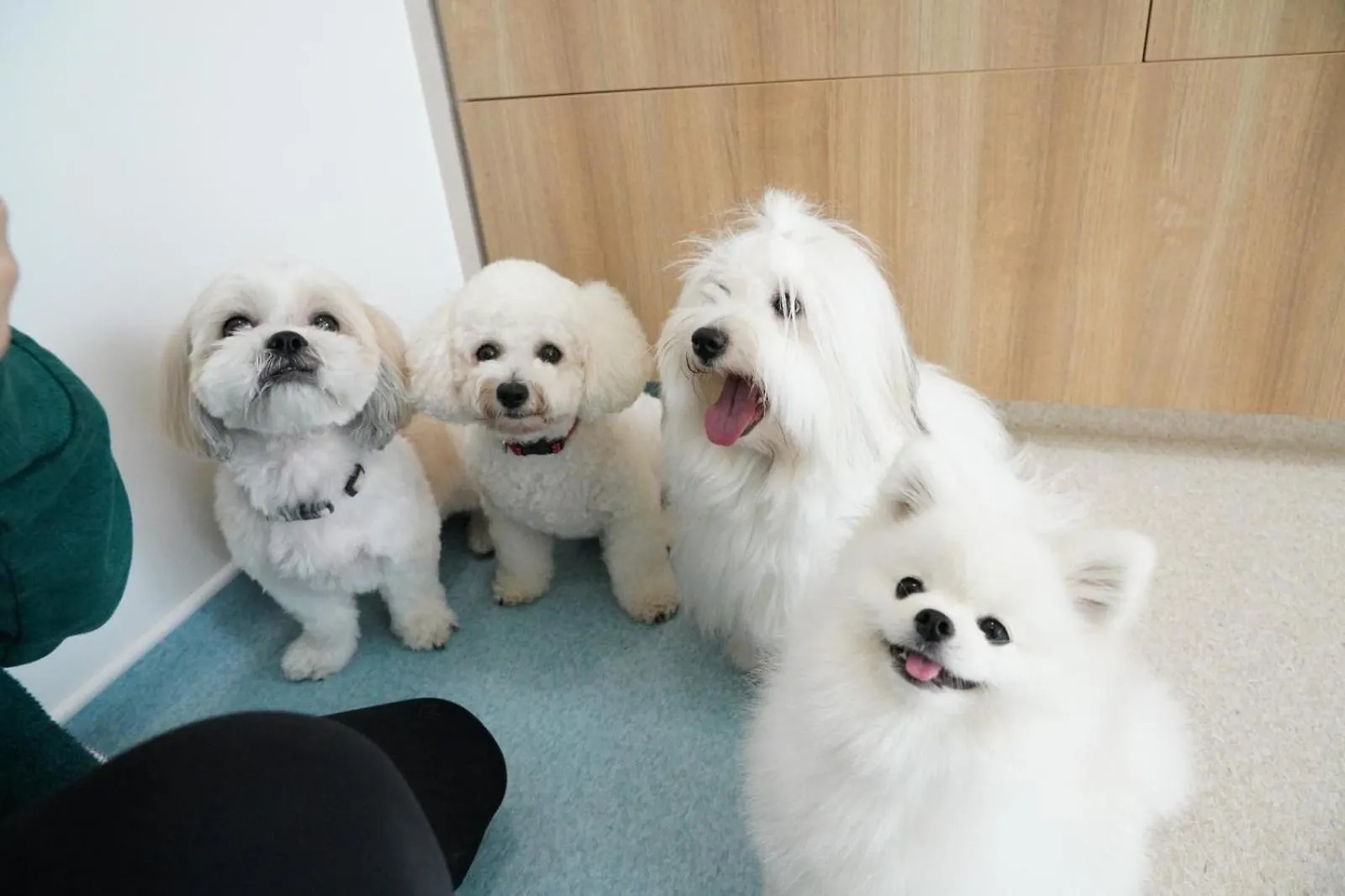 호텔 시타딘 커넥트 피프스 애비뉴 뉴욕